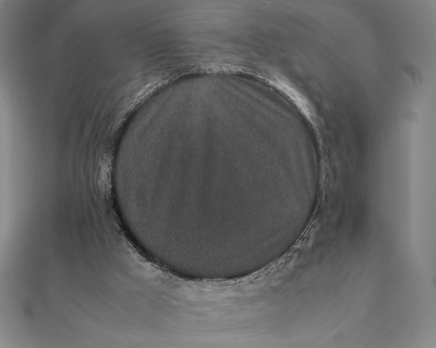 X0000112110009200908251221