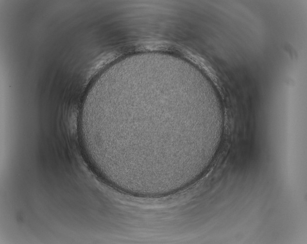 X0000112110010200908251221