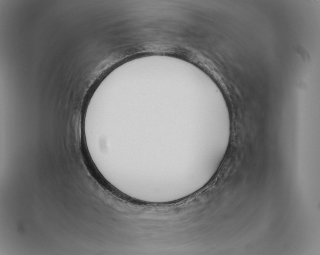 X0000112110011200908251221