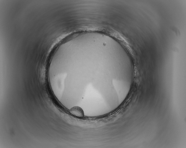 X0000112110012200908251221