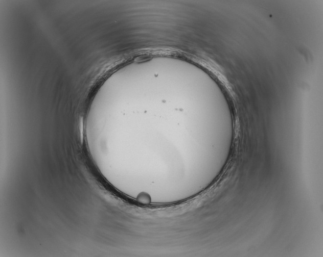 X0000112110013200908251221