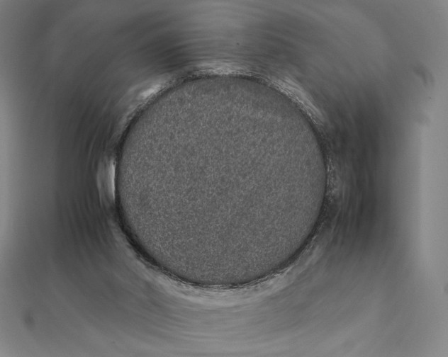 X0000112110014200908251221