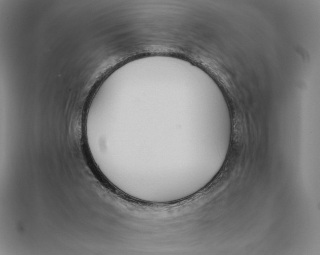 X0000112110015200908251221