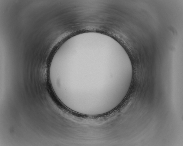 X0000112110016200908251221