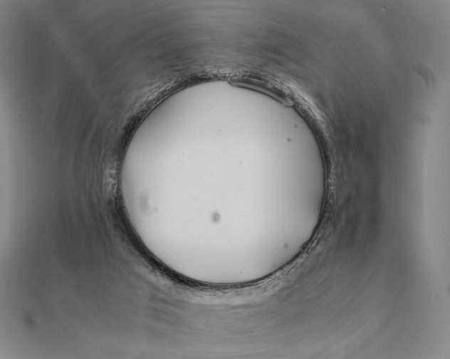 X0000112110017200908251221