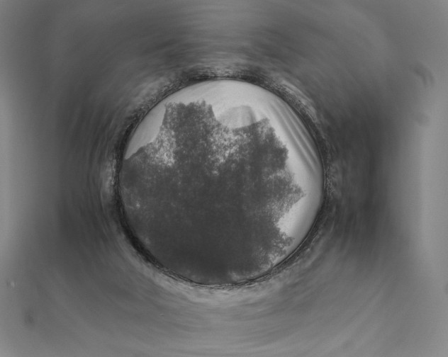 X0000112110018200908251221