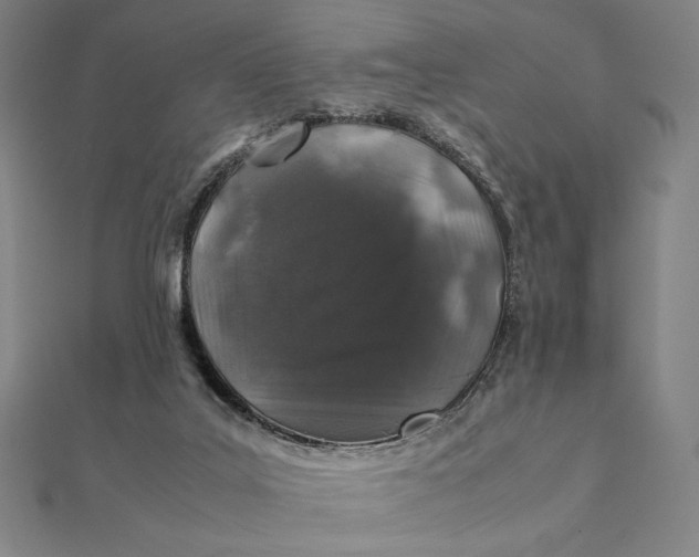 X0000112110019200908251221