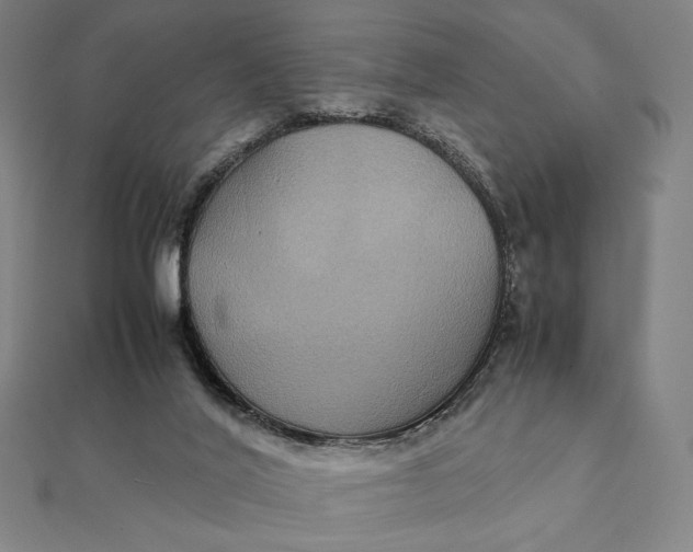 X0000112110020200908251221