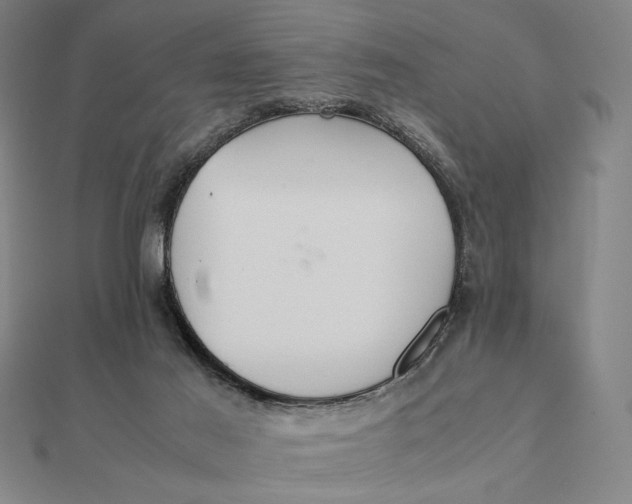 X0000112110021200908251221