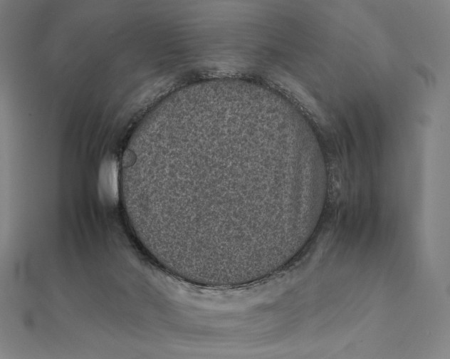 X0000112110022200908251221