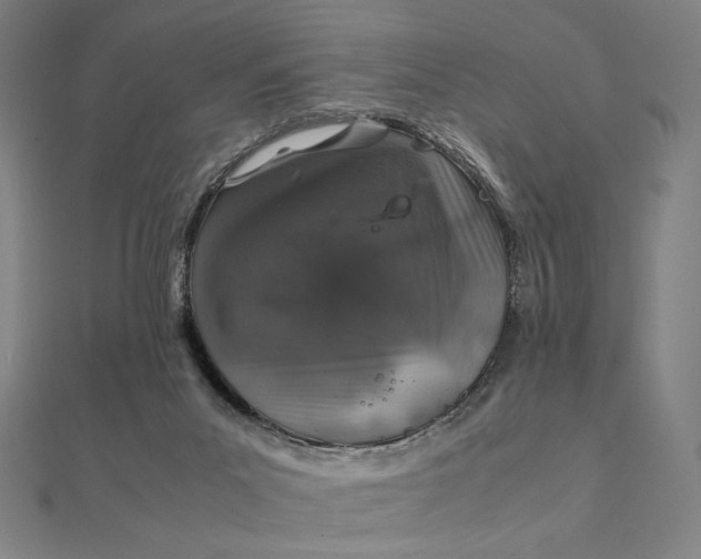 X0000112110023200908251221