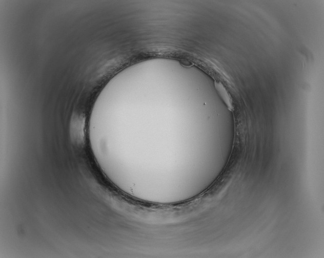 X0000112110024200908251221