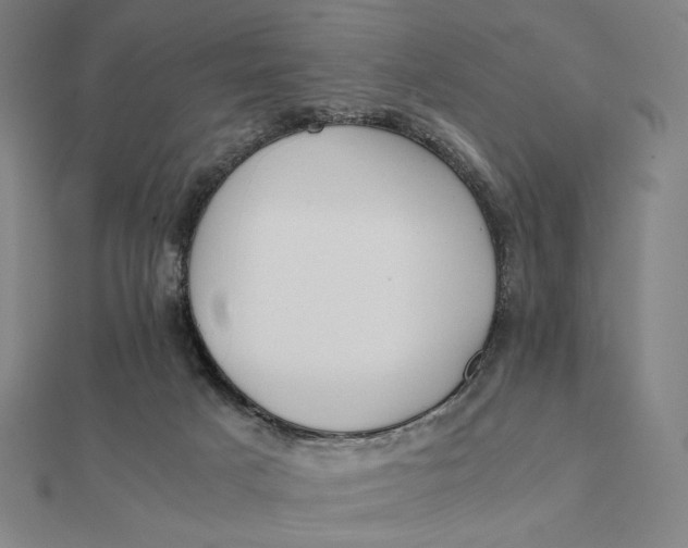 X0000112110025200908251221