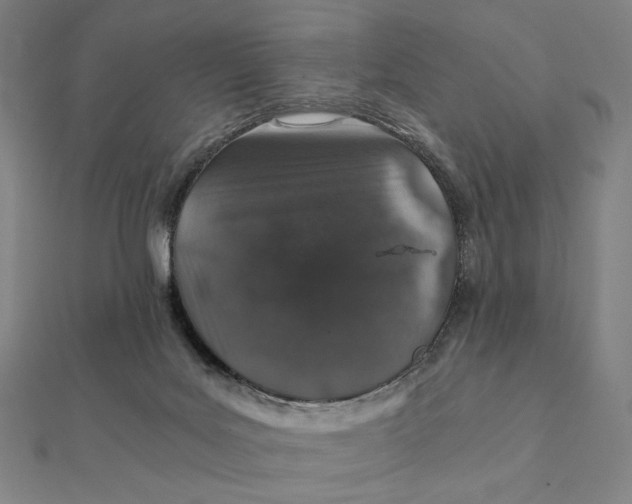 X0000112110027200908251221