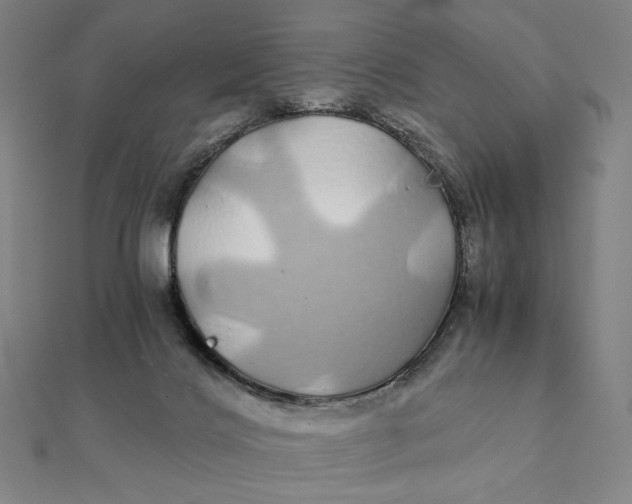 X0000112110028200908251221