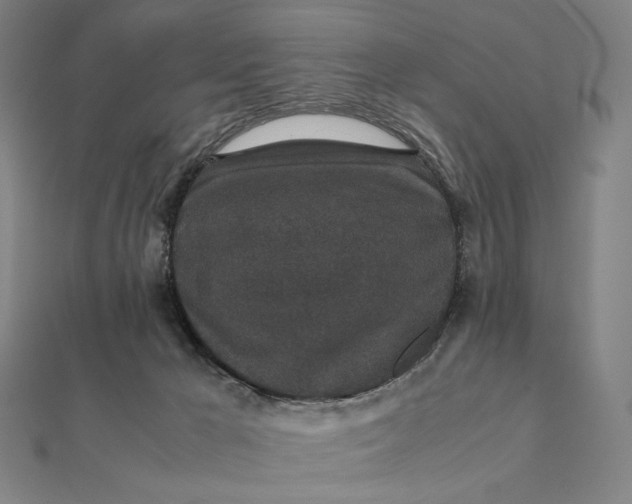 X0000112110029200908251221