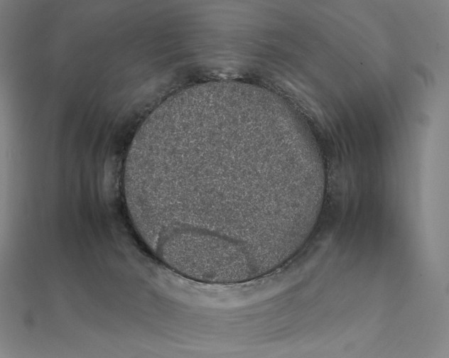 X0000112110030200908251221