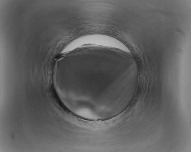 X0000112110031200908251221