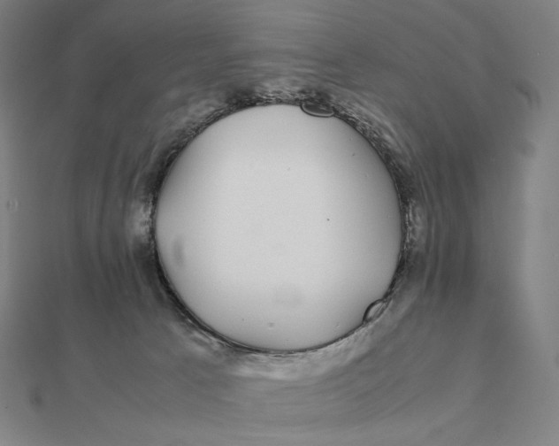 X0000112110033200908251221