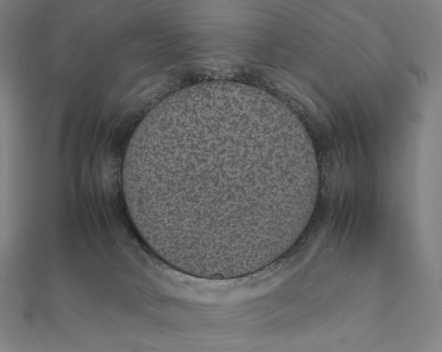 X0000112110034200908251221