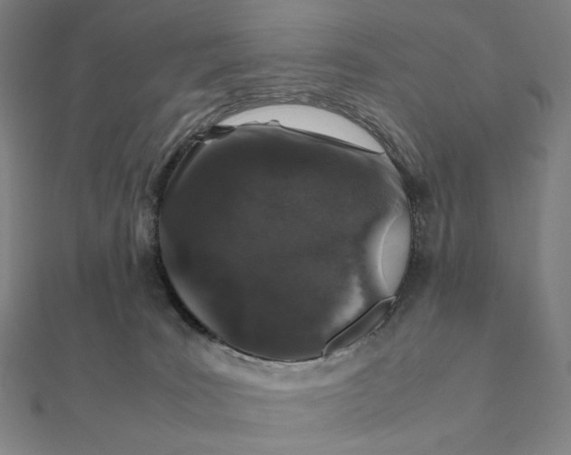 X0000112110035200908251221