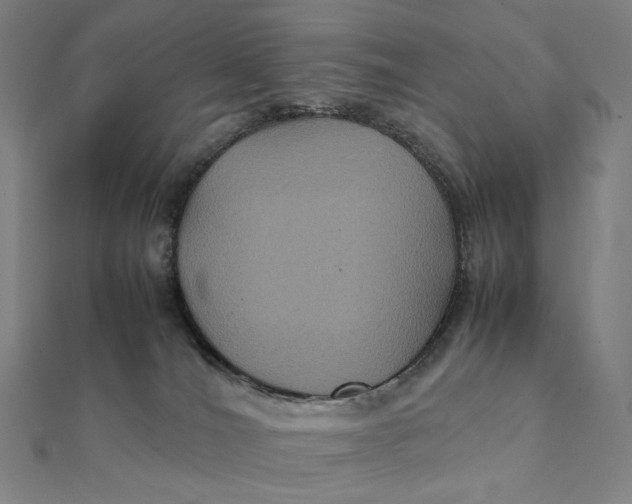 X0000112110036200908251221