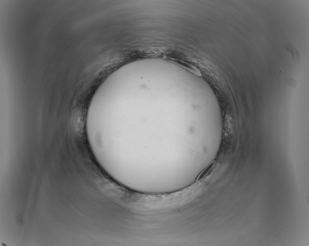 X0000112110037200908251221