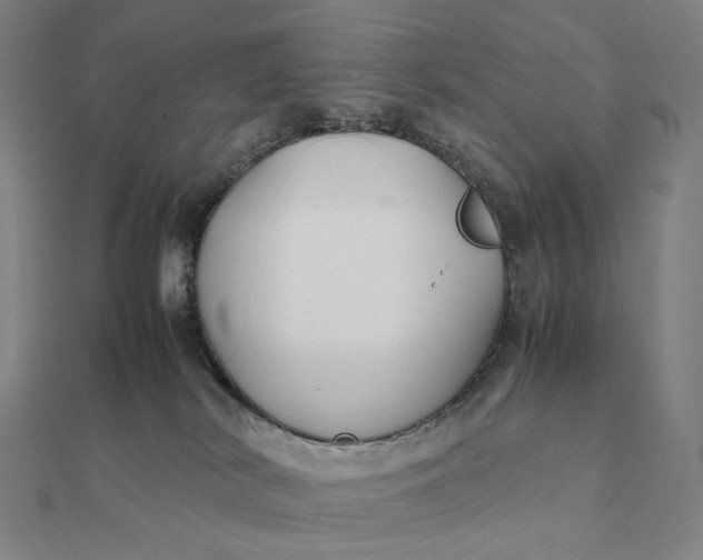 X0000112110038200908251221