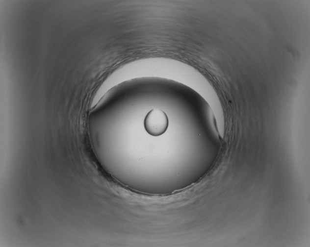 X0000112110039200908251221