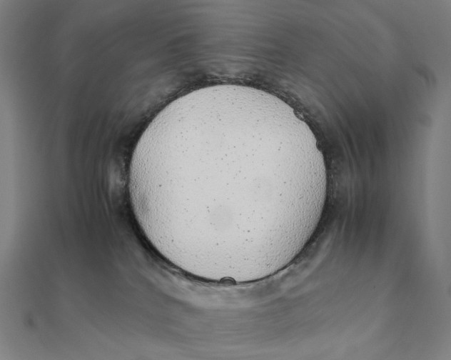 X0000112110040200908251221