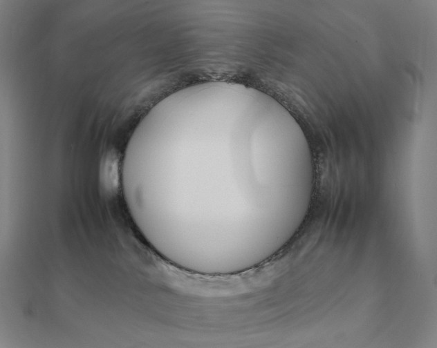 X0000112110042200908251221