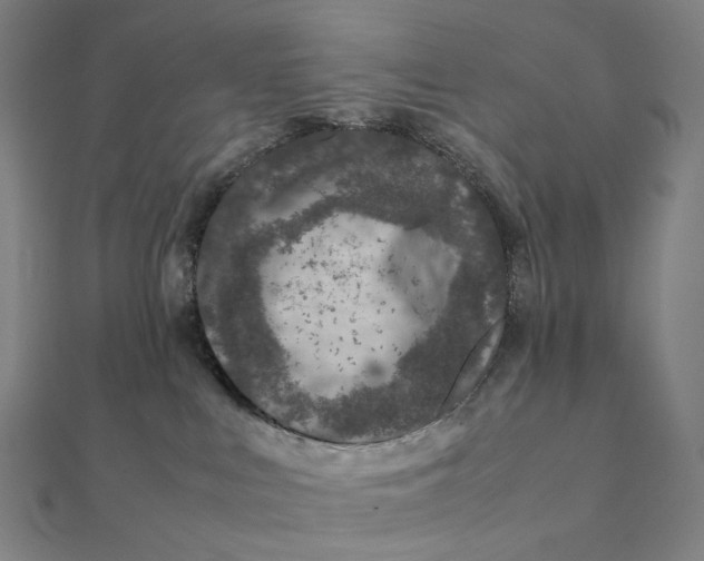 X0000112110043200908251221