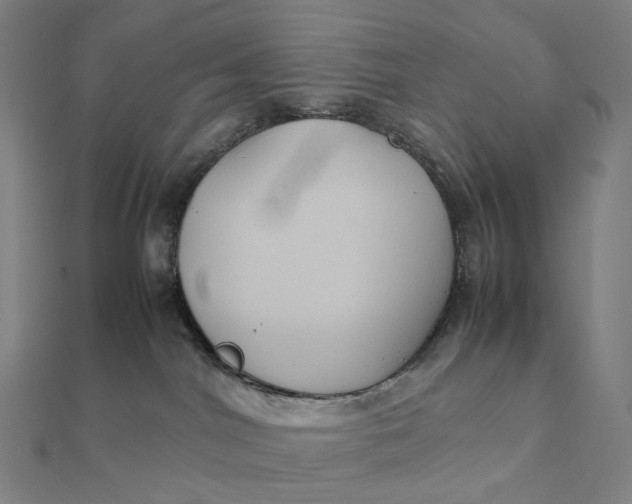 X0000112110044200908251221