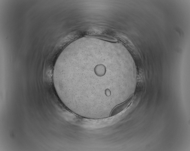 X0000112110045200908251221