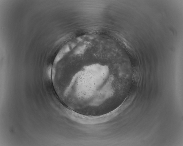 X0000112110047200908251221