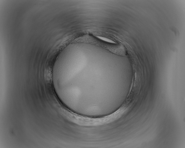 X0000112110048200908251221