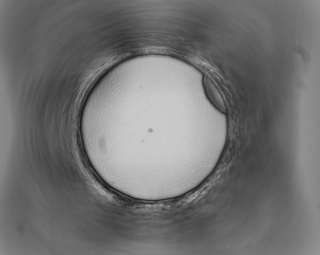 X0000112110049200908251220