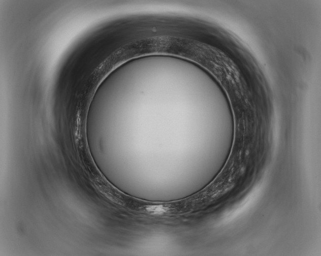 X0000112110050200908251220