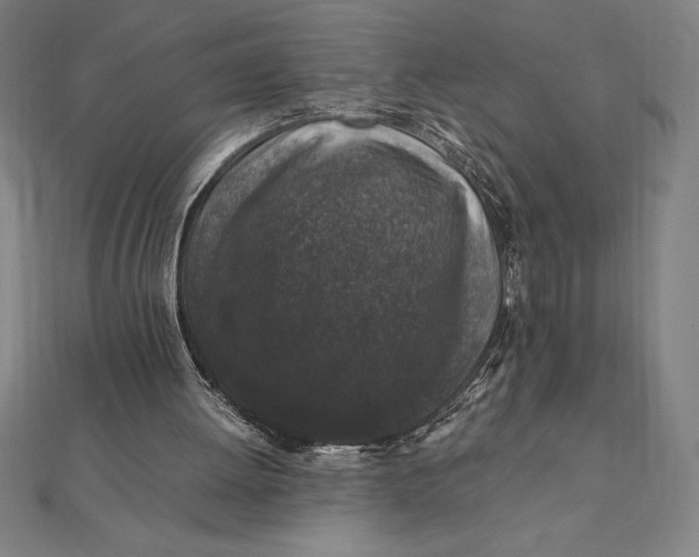 X0000112110052200908251220