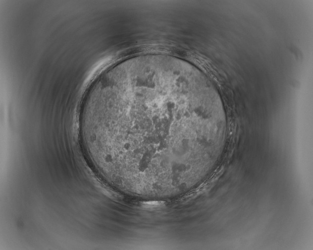 X0000112110053200908251220