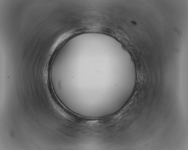 X0000112110054200908251220