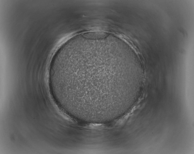 X0000112110055200908251220