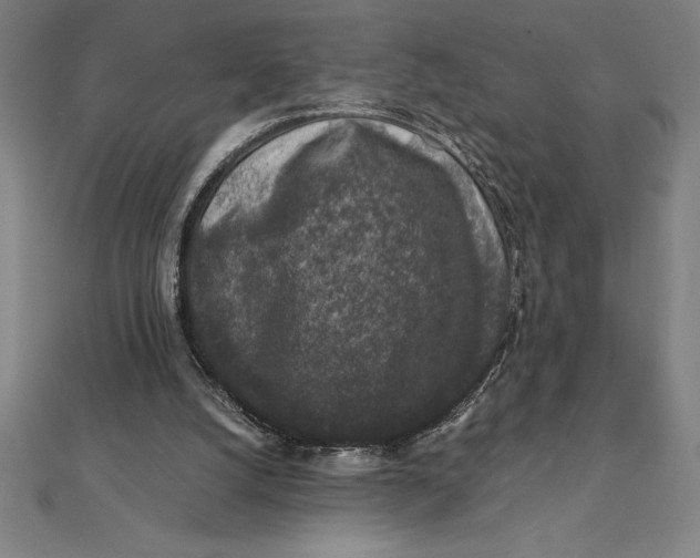 X0000112110056200908251220