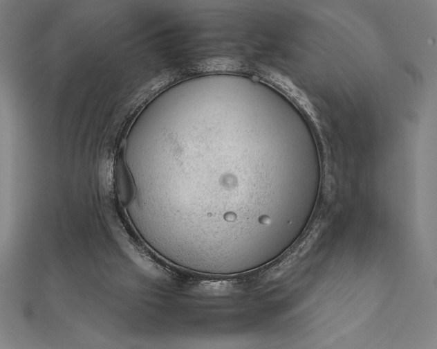 X0000112110057200908251220