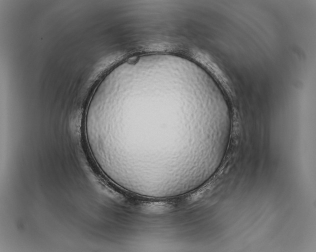 X0000112110058200908251220