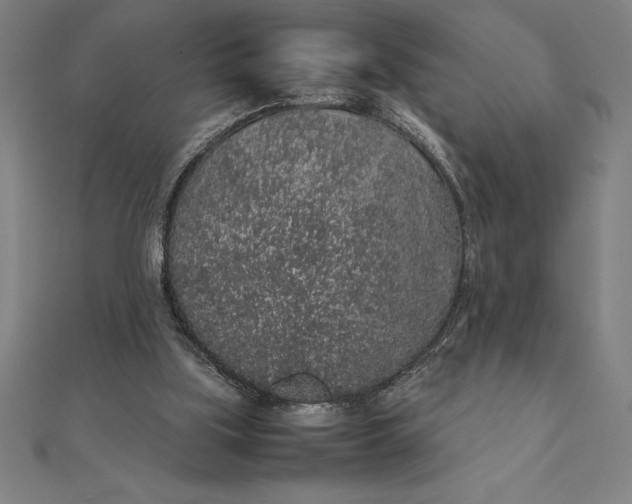 X0000112110059200908251220