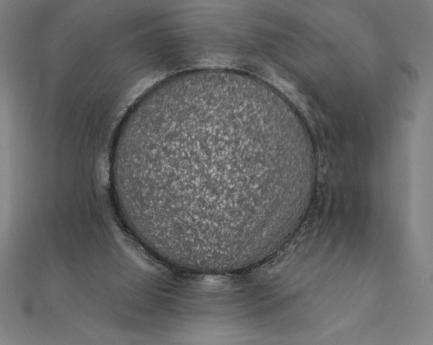 X0000112110060200908251220