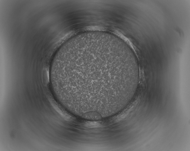 X0000112110061200908251220