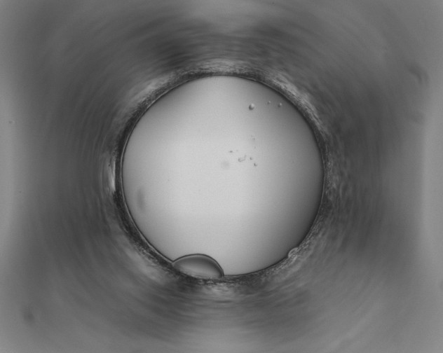 X0000112110062200908251220