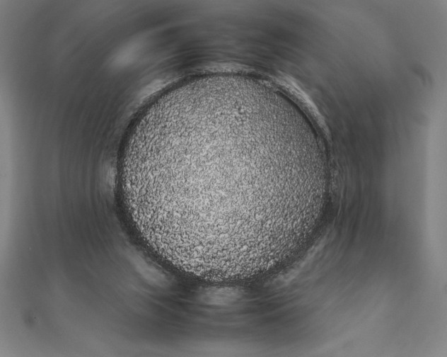 X0000112110063200908251220